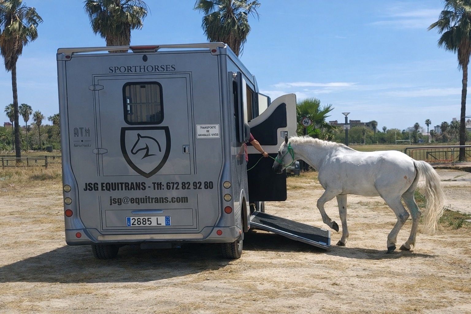 Cargando caballo en el vehículo